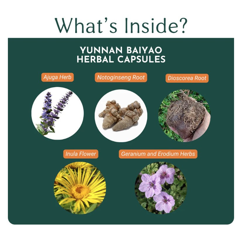 Yunnan Baiyao Capsules – Healing Support for Bleeding and Recovery