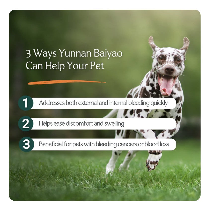 Yunnan Baiyao Capsules – Healing Support for Bleeding and Recovery