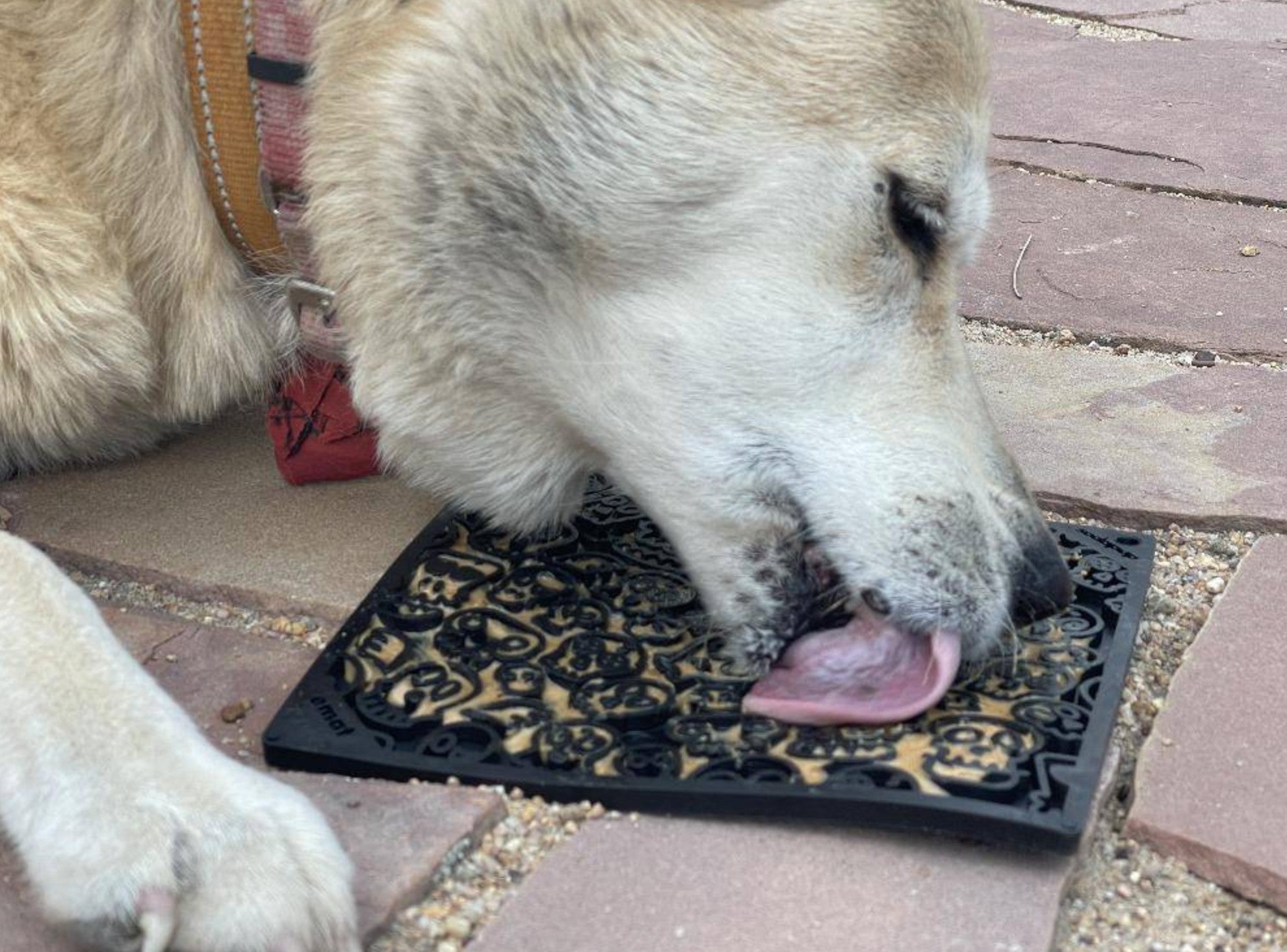 Zombie Design Emat Enrichment Lick Mat